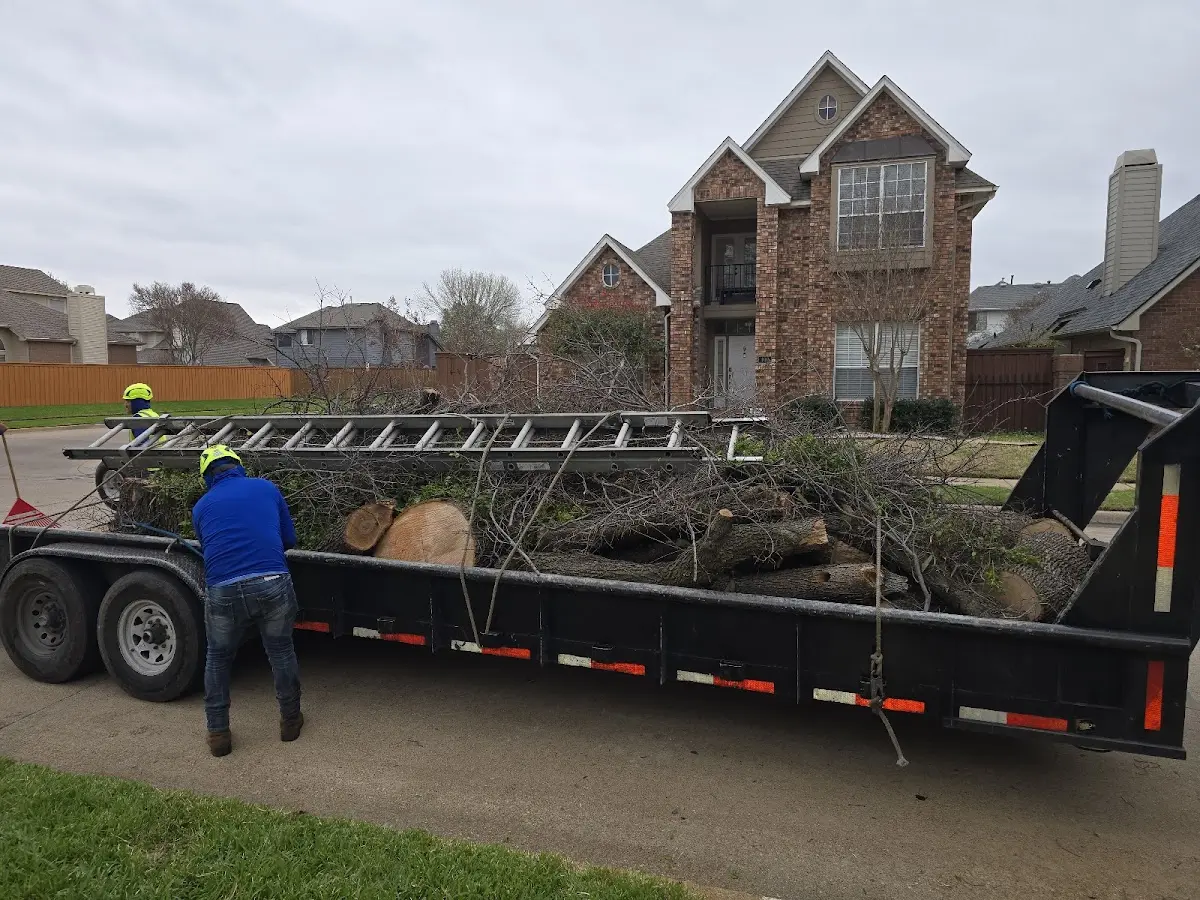 Expert Tree Fertilization with proper safety equipment in Hendley